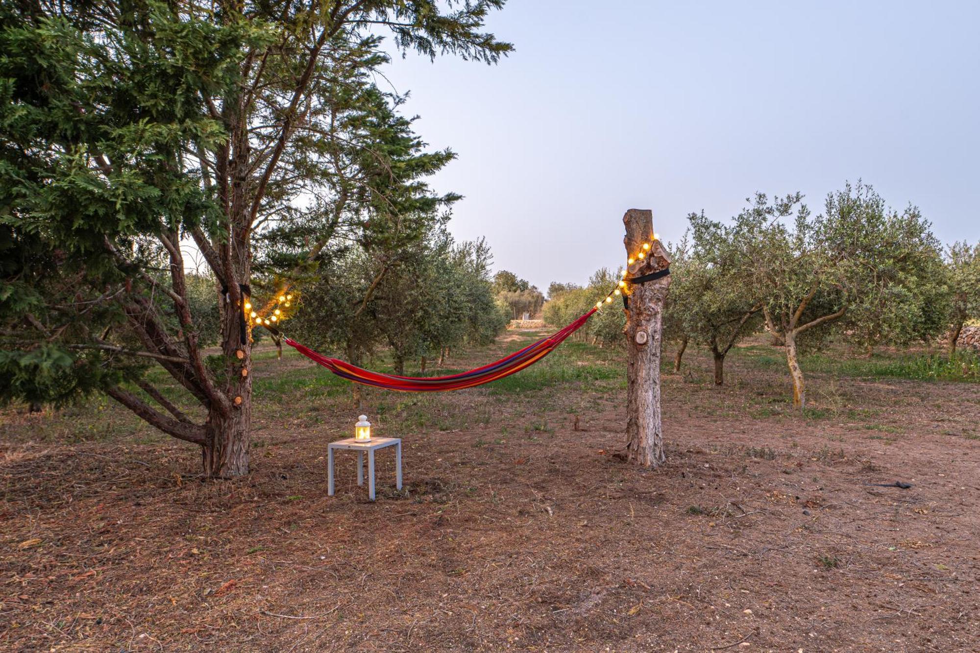 كامبوس Finca Girasols المظهر الخارجي الصورة